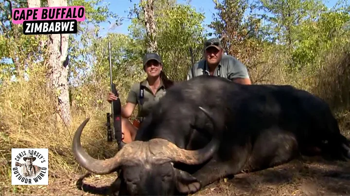 Hunting A Massive Cape Buffao in Zimbabwe's Save Conservancy
