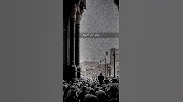 القارئ:علي جابر