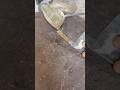 Damage battery plate repair #battery #repair