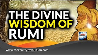 The Divine Wisdom Of Rumi screenshot 4