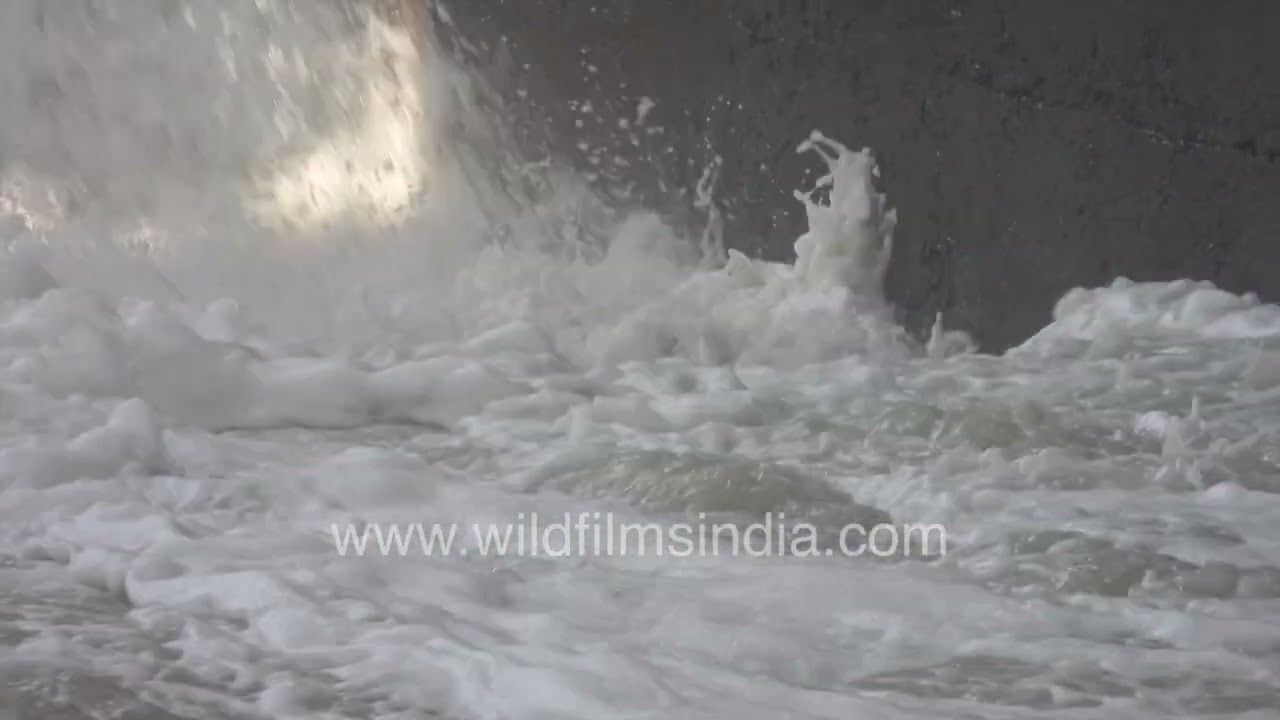 Shocking foam in Yamuna River – What’s happening?