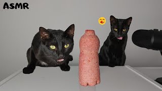 Kitten & Cat eating Sausage Bottle ASMR