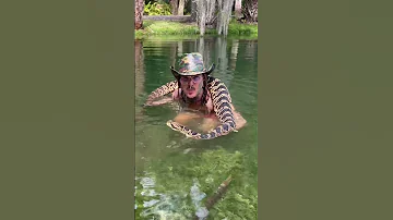 Swimming With GIANT Hybrid RATTLESNAKE Shorts Florida Snake ChandlersWildLife 