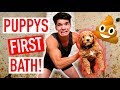 New Puppy’s First Bath! (HE GOT SO DIRTY)