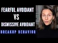 Fearful Avoidant vs Dismissive Avoidant Breakup | What To Expect