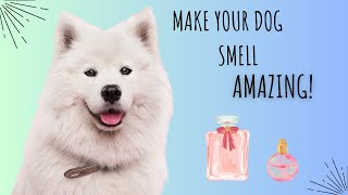 Make Your Dog Smell Good   | Seasonal Scents, Isle of Dogs, and Fox + Hound