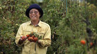 GROWING OUR FUTURE • Regenerative Agriculture and Collaborative Food Networks • 30th June 2020