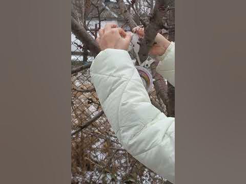 Добра справа - YouTube