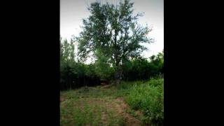 Yozgat Karga Koyu Yesilova Koylulerim Yorum Birakin