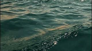 Berdekatankah Kita -  Kiai Kanjeng (cipt. Emha Ainun Nadjib) (Cover Version)