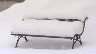 TEMPORAL NIEVE EN TORRECILLA EN CAMEROS