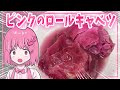 【料理】ピンクのロールキャベツを作って食べる！【ロールキャベツ】