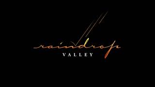 21 Laps Entertainment/Ceremony Pictures/Raindrops Valley/Netflix (2020)