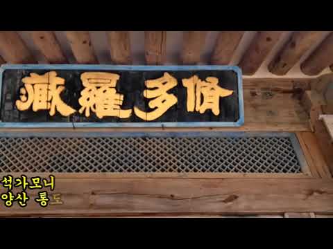 합천 해인사 2026. 6. 14.