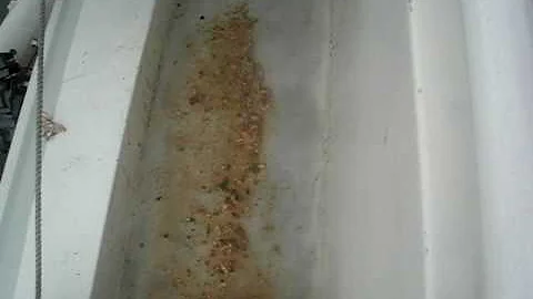 Jamie Wilkins Hosing Spew Off Posi.AVI
