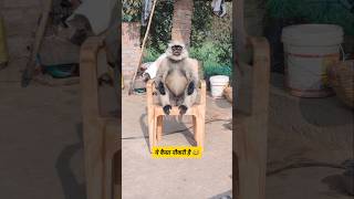 य कस नकर ह