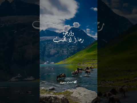 أغيب وذو اللطائف لا يغيب مشاري العفاسي