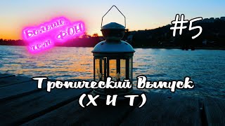 Больше, чем ФОН #5 - Тропический выпуск (что такое хит?... пишем хит)