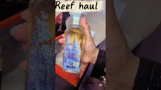 Reef haul 😭the packaging is 10/10 which bottle design is your favourite #reef#perfume#haul#unboxing