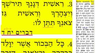 חולין קלה 135 חמישי ו׳ ניסן התשע״ט Daf yomi Chllin daf 135 קלה.  שמואל נבון
