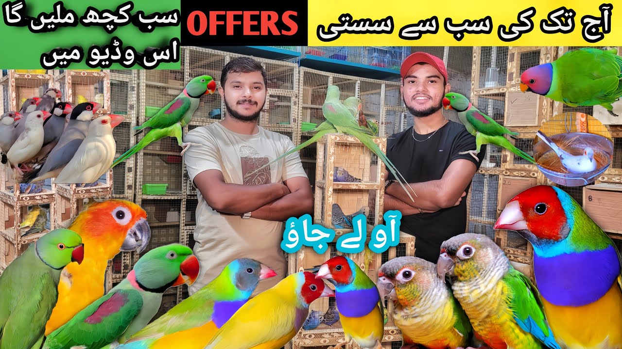 Bohot Kam Rate Mai Deals Lag Gai Jaldi Faida Uthain 25 10 24 vaisakhi-special-frock-suits-ka-kam-rate-dhamaka-sale-youtube