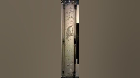 Vertical Multiphase Flow