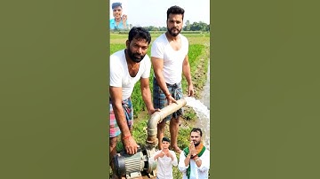 खेसारी लाल यादव गांव जाकर गेहूं पटाया कर रहे हैं बड़ा भाई के साथ में #khesarilalyadav #shortvideo