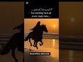 # Horse Riding # Nature Healing # Quotes # Motivation # Life Lessons # Deep Words # Relaxing Sound #