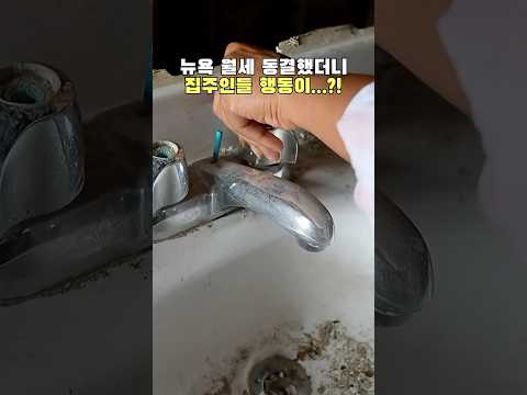 세입자가 나가기만을 바라는 뉴욕 집주인들 thumbnail