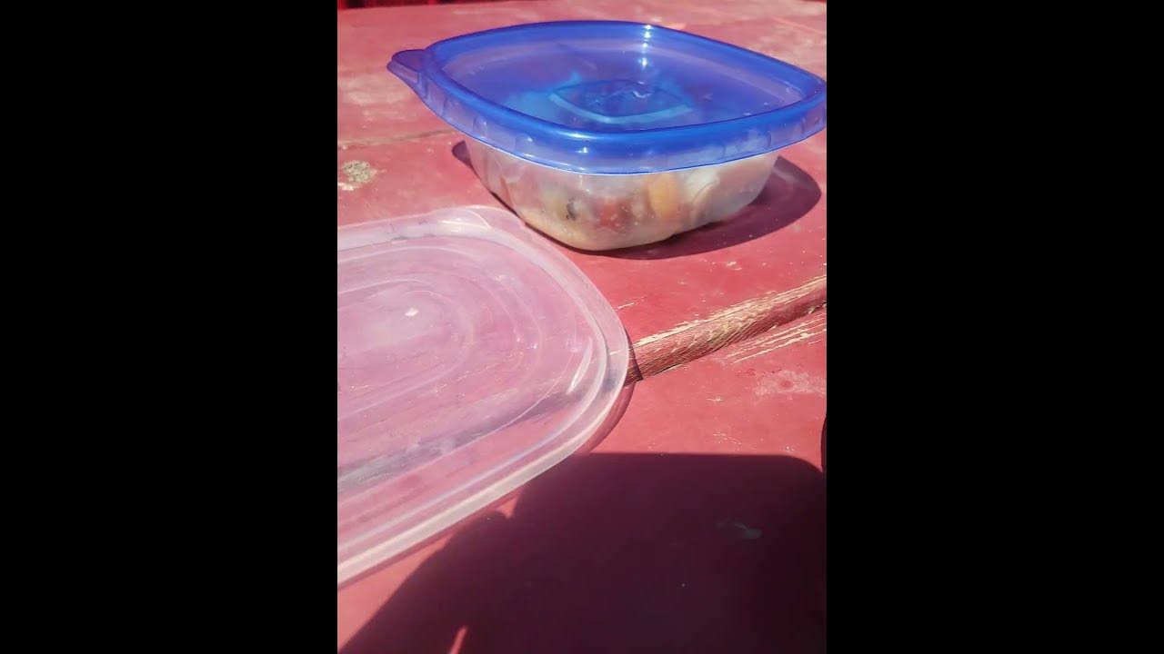 It s A Beautiful Day To Eat Lunch Outside I Have An Idea For These it-s-a-beautiful-day-to-eat-lunch-outside-i-have-an-idea-for-these