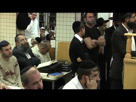 הרב יורם אברג'ל- המסר היומי- איך בוחרים אתרוג -  י''ג תשרי תשפ''ב