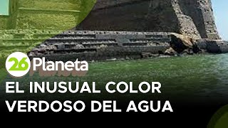 italia-microalgas-cambian-el-color-del-mar-en-la-region-de-napoles