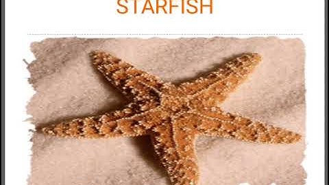 Grade Nur  Maths Dated 02 04 2020