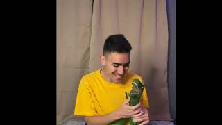 Caillous Dinosaur Effects