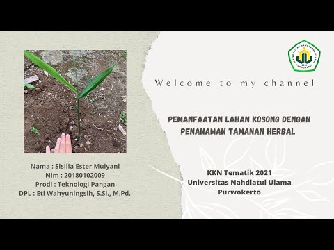 Video: Badan Ramah (37 Foto): Deskripsi Tanaman Herba Untuk Tanah Terbuka, Aturan Penanaman Dan Perawatan