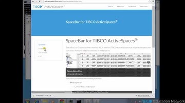 Using the TIBCO ActiveSpaces Spacebar Tool