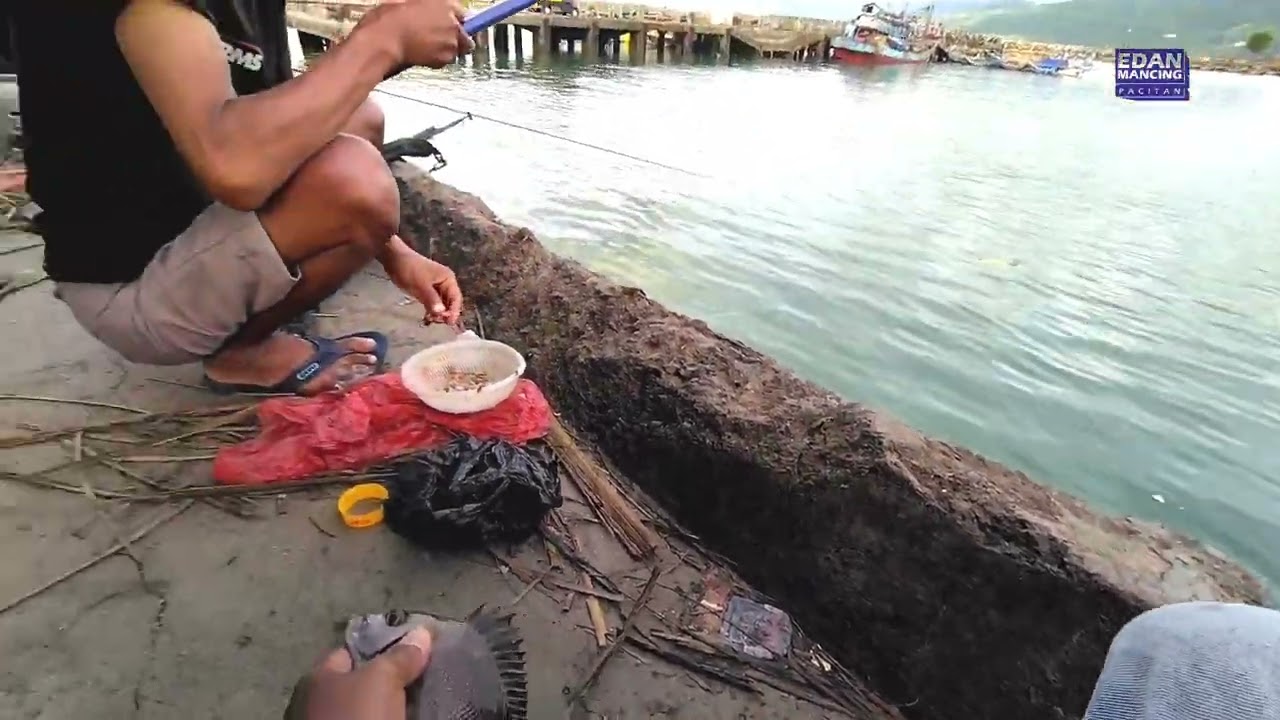 Lama gak mancing disini, ternyata masih banyak ikannya‼️ Mancing pakai tegek di depan TPI tamperan