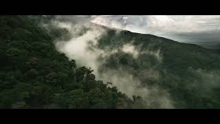 TAPIR NATURAL RESERVE by Río Celeste Hideaway