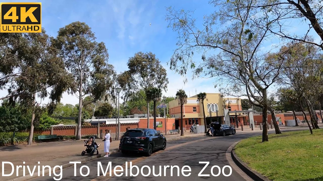 Driving To Melbourne Zoo Melbourne Australia 4K UHD YouTube