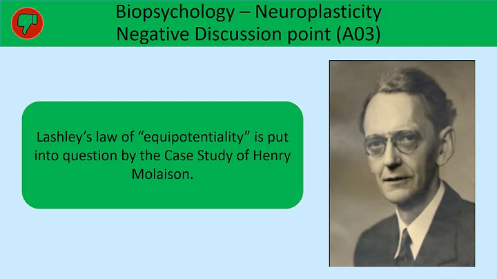 The Case Study of Henry Molaison for A Level Psych...