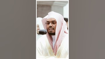 تلاوة مرئية سورة العنكبوت الآية ٤١ الشيخ ياسر الدوسري