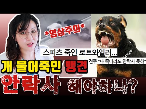 개물림 사고를 낸 사나운 맹견, 안락사 해야할까? 대형견은 무조건 입마개 해야한다? (Feat. 미국은 어떻게 처리하나)