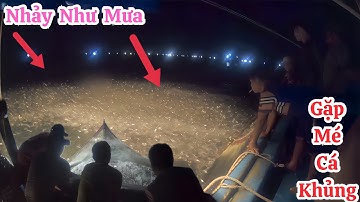 Pha Xúc Cá Cơm 26 / Trúng Mé Cá Gần 400 Giỏ - Cá Nhảy Như Mưa - Nghề Biển Ninh Thuận