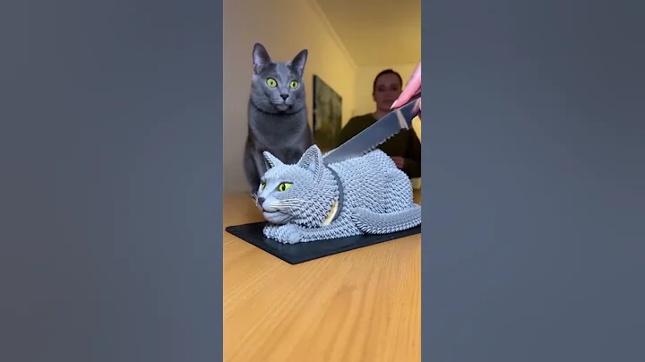 Video 11899361: russian blue cat, cutting russian blue, cat reaction, cute cat, pets