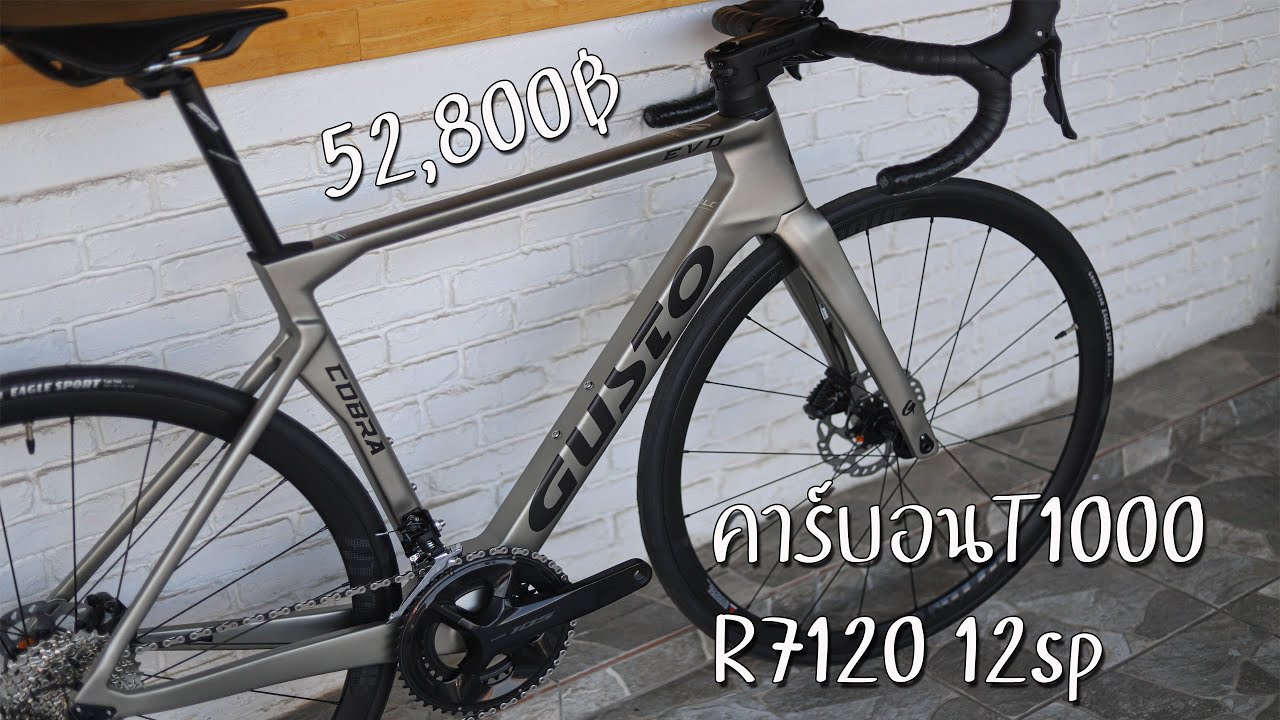 Gusto cobra evo elite 2024