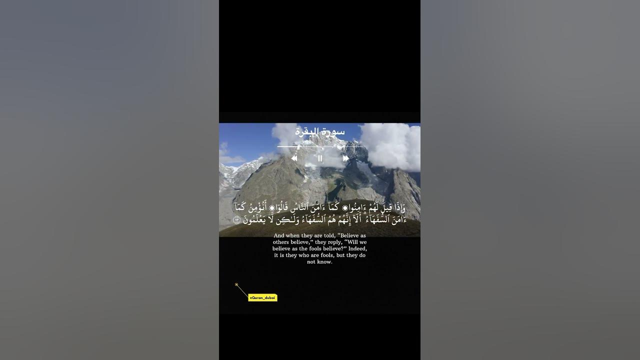 Peaceful Quran recitation by Saad Al-Ghamdi with a stunning natural view to calm the heart and mind
