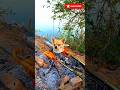 Đi Picnic vẫn không quên tấu hài