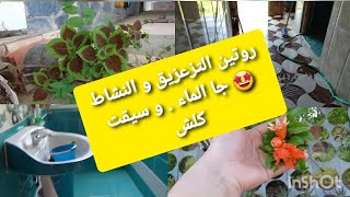 روتين قبايلية في الريف  كي يجي الماء?غسلت وعمرت كلشي ?ماخليت حتى بلاصة?