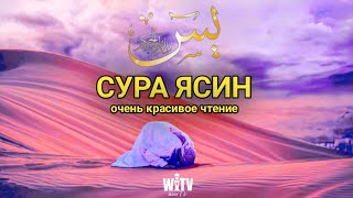 🎧 ❤ ️Сура Ясин! Ежедневно от всех ваших проблем. Ин Ша Аллах КРАСИВОЕ ЧТЕНИЕ КОРАНА | Wahid TV