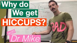 Hiccups | Respiratory System